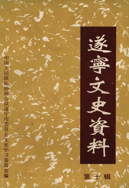 遂宁文史资料（第十辑）.pdf电子版_四川省志