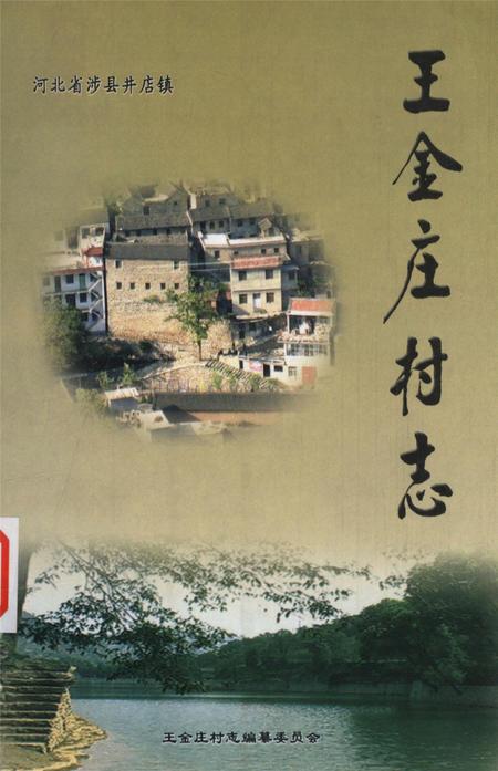 王金庄村志.pdf电子版_河北省志