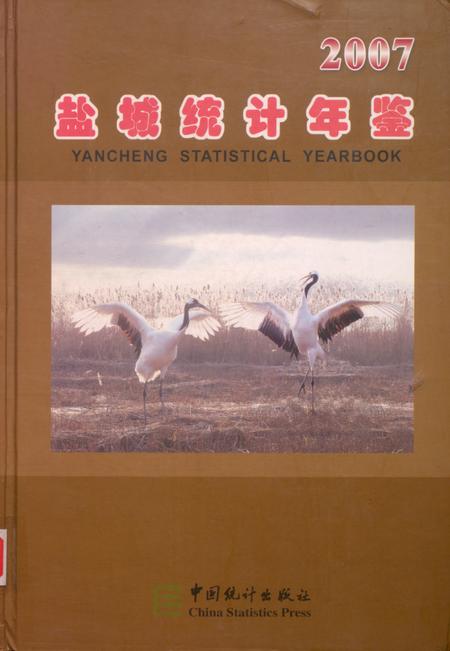 盐城统计年鉴 2007.pdf电子版_江苏省志