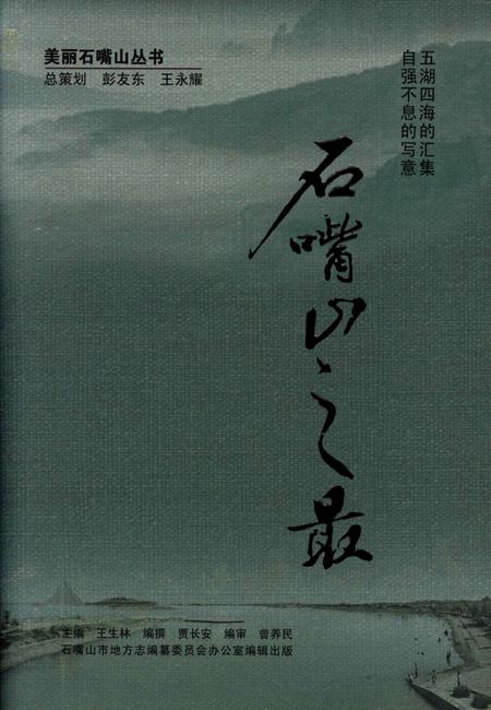 石嘴山之最.pdf电子版_宁夏回族自治区志