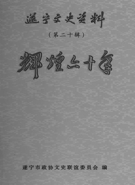 遂宁文史资料（第二十辑辉煌六十年）.pdf电子版_四川省志