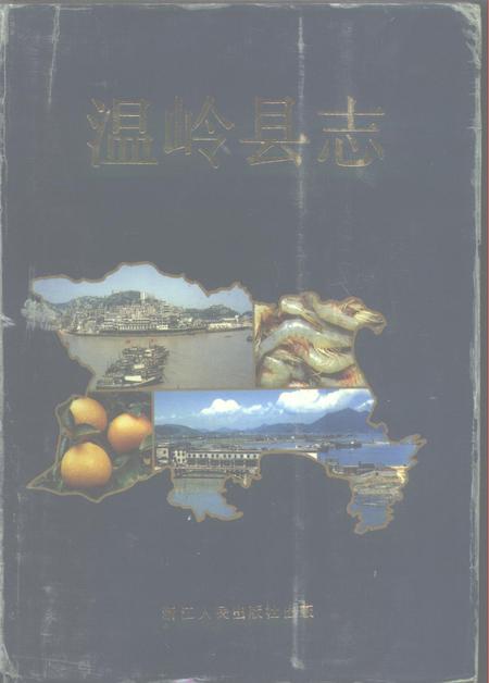 1992-温岭县志.pdf电子版_浙江省志
