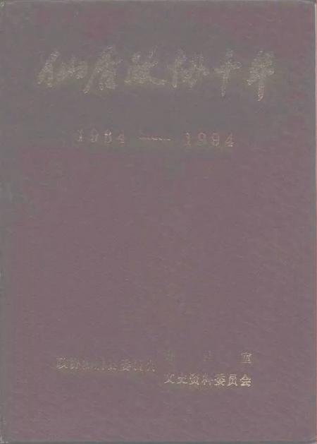 1995.09-仙居政协十年  1984-1994.pdf电子版_浙江省志