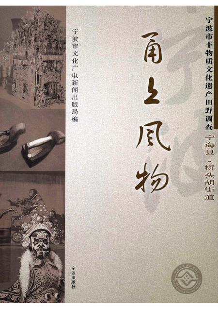 2008-甬上风物：宁波市非物质文化遗产田野调查  宁海县·桥头胡街道.pdf电子版_浙江省志