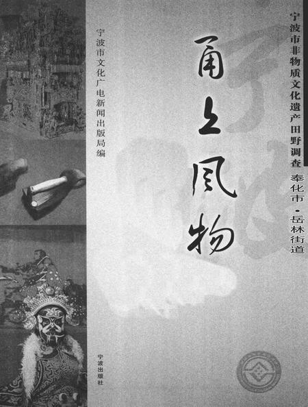 2009-甬上风物  宁波市非物质文化遗产田野调查  奉化市·岳林街道.pdf电子版_浙江省志