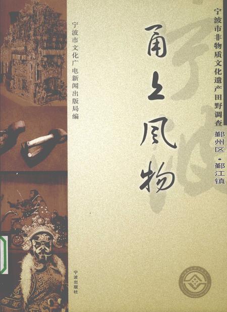 2009-甬上风物  宁波市非物质文化遗产田野调查  鄞州区·鄞江镇.pdf电子版_浙江省志