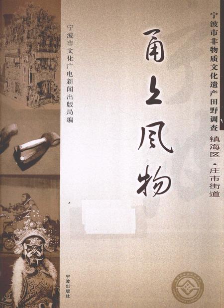 2009-甬上风物  宁波市非物质文化遗产田野调查  镇海区·庄市街道.pdf电子版_浙江省志