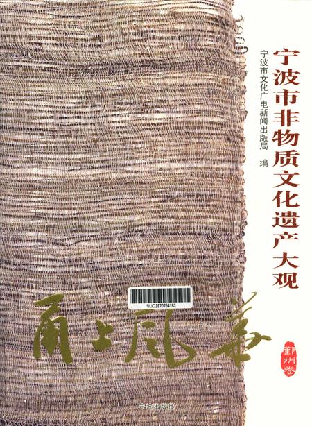 2011-甬上风华  宁波市非物质文化遗产大观鄞州卷.pdf电子版_浙江省志