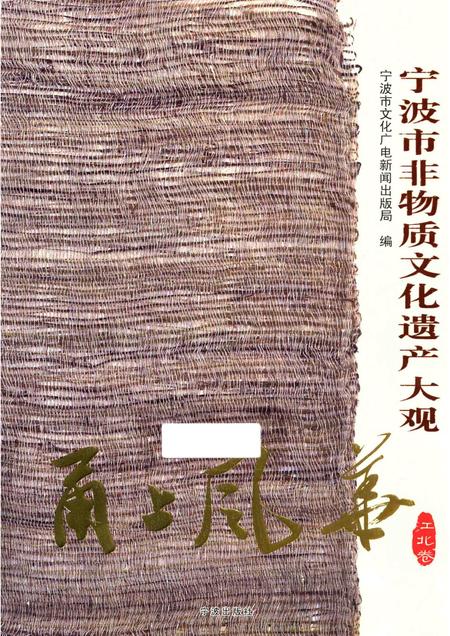 2012-甬上风华  宁波市非物质文化遗产大观  江北卷.pdf电子版_浙江省志