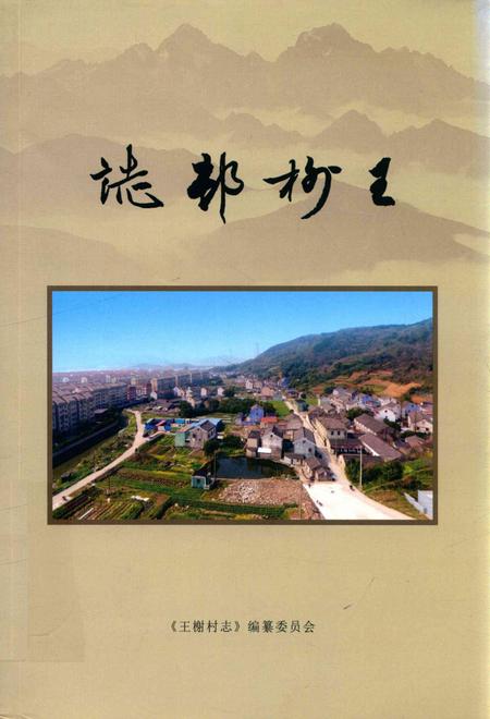 北仑王榭村志-《王榭村志》编纂委员会.pdf电子版_浙江省志