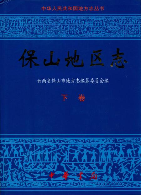 中华人民共和国地方志丛书 保山地区志 下卷.pdf电子版_河南省志