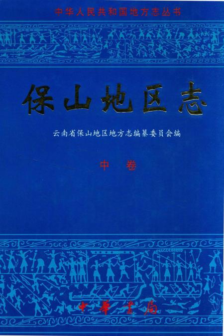 中华人民共和国地方志丛书 保山地区志 中卷.pdf电子版_河南省志