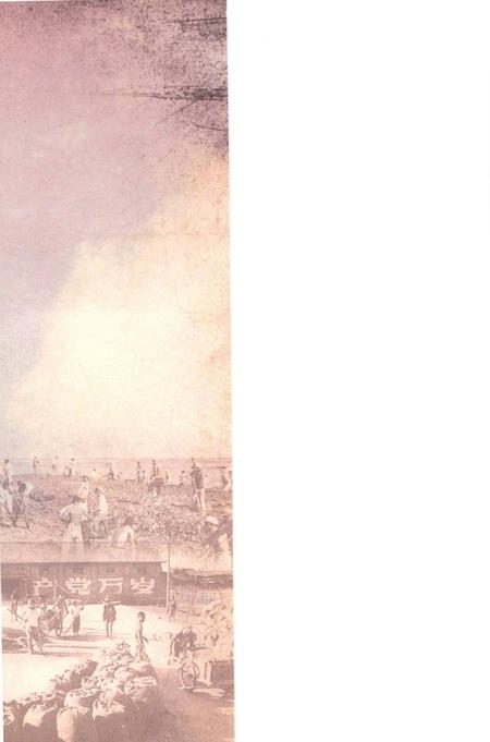 五七干校在信阳 信阳文史资料第九辑（下）.pdf电子版_河南省志插图1