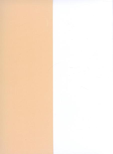 京族百年实录.pdf电子版_广西壮族自治区志插图1