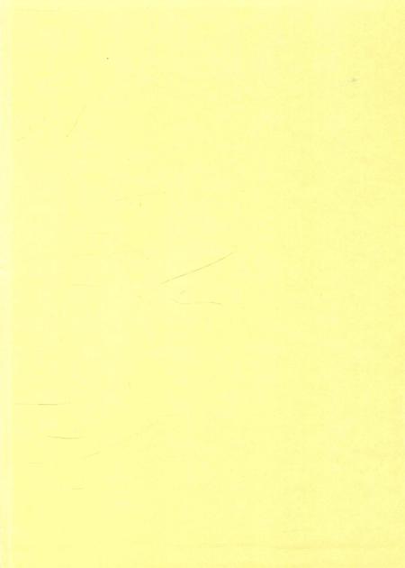 保山年鉴2011.pdf电子版_云南省志插图1