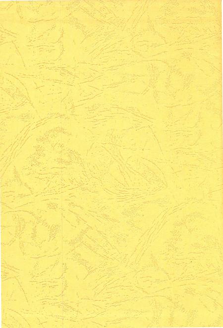 北湖年鉴 (2011).pdf电子版_湖南省志插图1