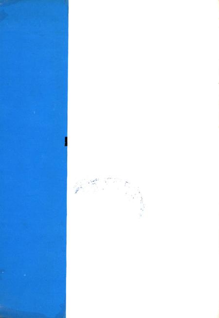 卢氏民俗志.pdf电子版_河南省志插图1