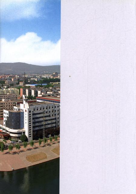 卫东区年鉴（2007）.pdf电子版_河南省志插图1