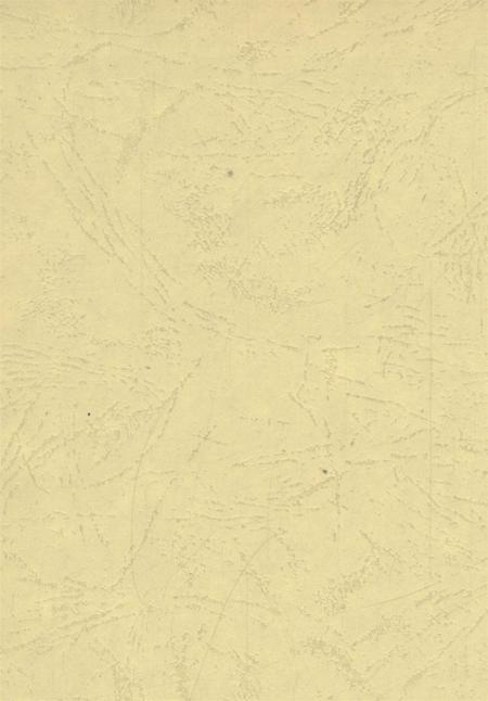 卫东年鉴2008.pdf电子版_河南省志插图1