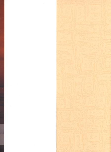 可爱的东兴.pdf电子版_广西壮族自治区志插图1