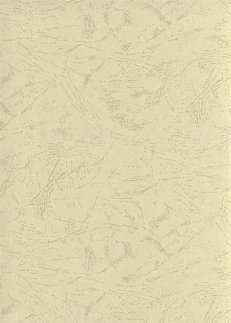 台前年鉴2008.pdf电子版_河南省志插图1