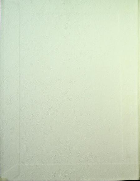 和龙年鉴（2013.12）.pdf电子版_吉林省志插图1