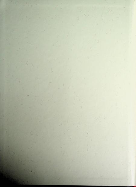 和龙年鉴（2015）.pdf电子版_吉林省志插图1