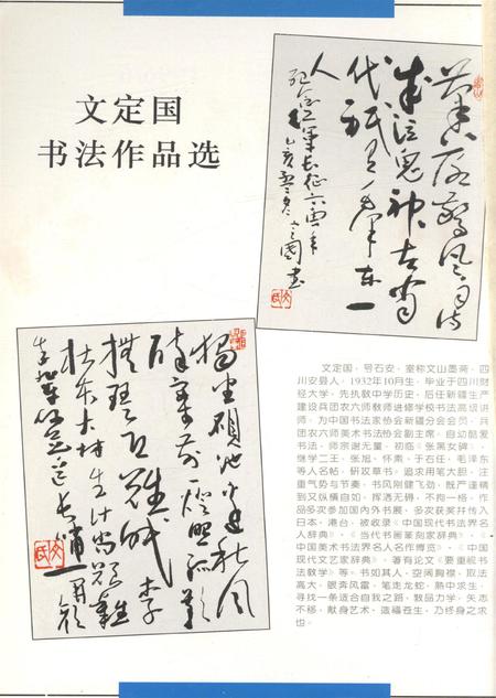 新疆绿洲第1996年第06期.pdf电子版_新疆维吾尔族自治区志插图1