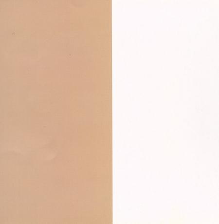 图说百年玉环（1909-2009）.pdf电子版_浙江省志插图1