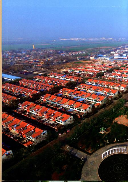 大宗村志.pdf电子版_山东省志插图1