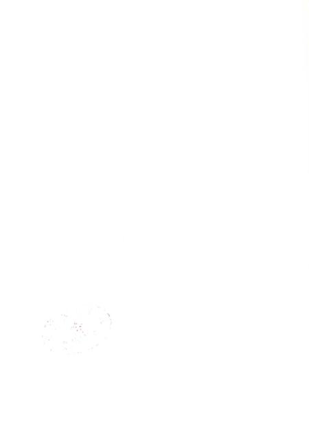 宜章年鉴 （2014）.pdf电子版_湖南省志插图1