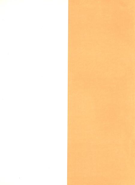 宝丰县房地产志.pdf电子版_河南省志插图1