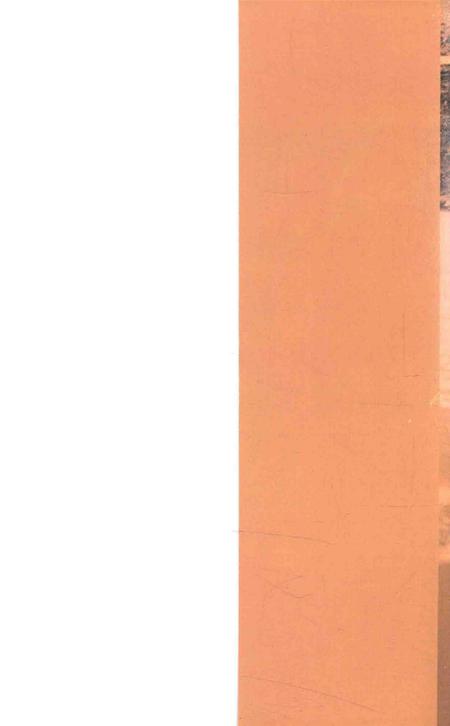 武陟抗战记忆.pdf电子版_河南省志插图1