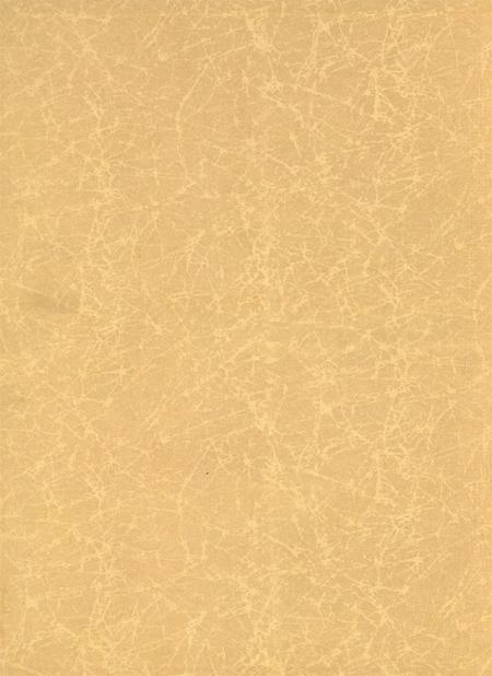 岳阳年鉴（2004）.pdf电子版_四川省志插图1