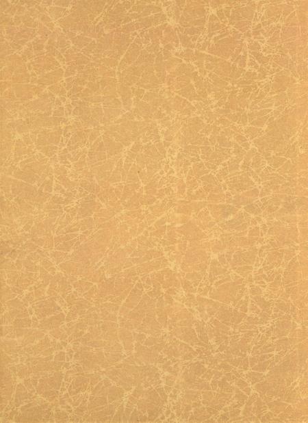 岳阳年鉴（2005）.pdf电子版_四川省志插图1