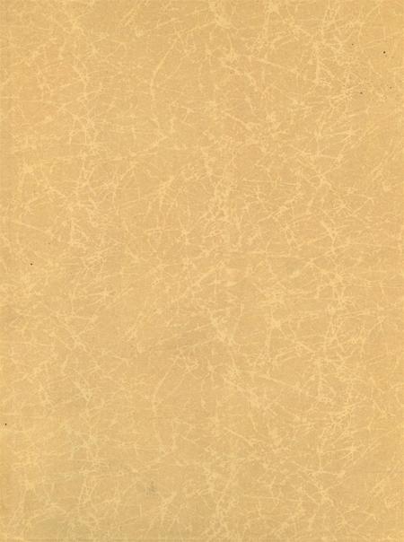 岳阳年鉴（2006）.pdf电子版_四川省志插图1