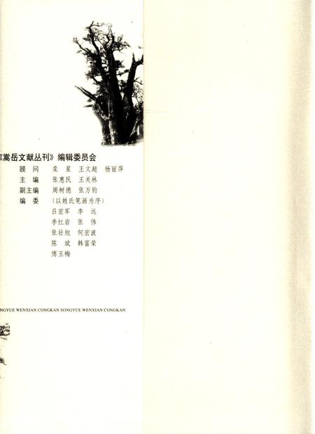 嵩岳文献丛刊（第二册）.pdf电子版_河南省志插图1