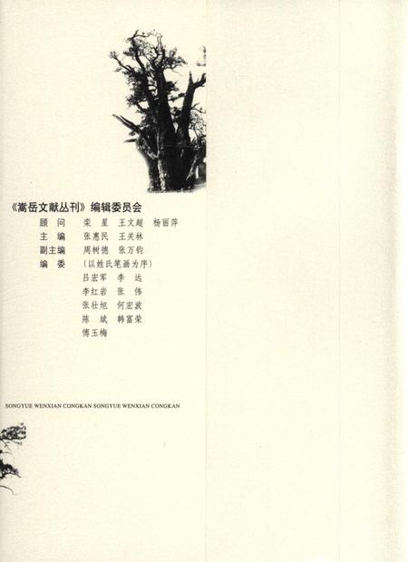 嵩岳文献丛刊（第四册）.pdf电子版_河南省志插图1