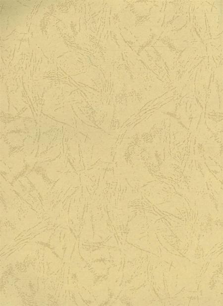 常德市武陵区志（1988～2005）.pdf电子版_湖南省志插图1