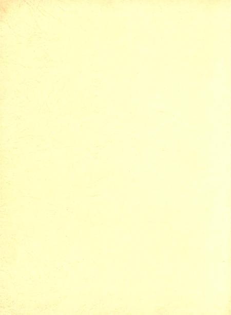 平顶山市精神文明建设年鉴（2004）.pdf电子版_河南省志插图1