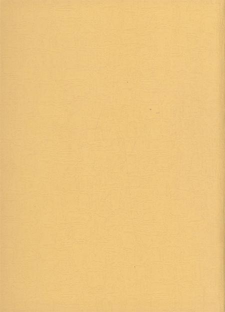 广汉市志（1986～2006）（上册）.pdf电子版_四川省志插图1