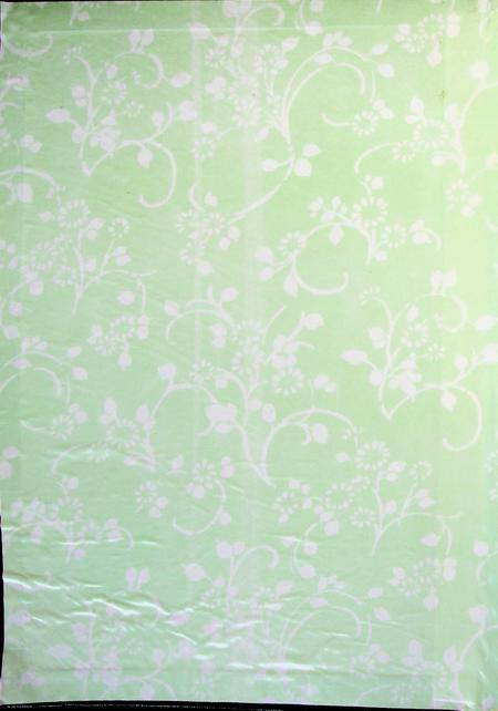 延边四十年.pdf电子版_吉林省志插图1