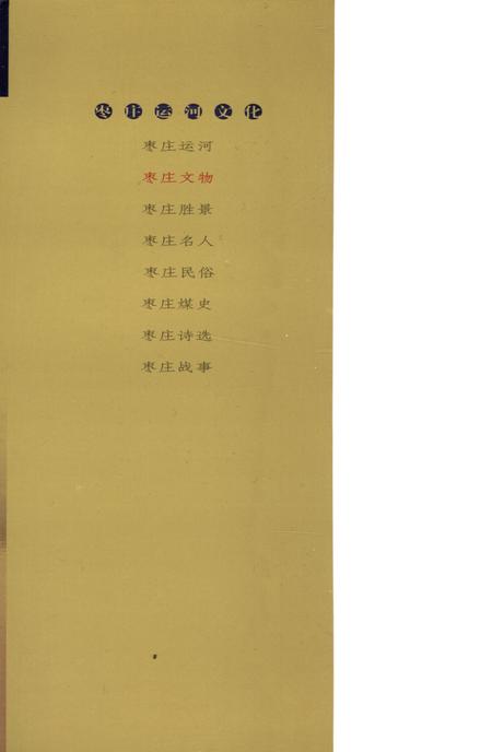 枣庄运河文化——枣庄文物.pdf电子版_山东省志插图1