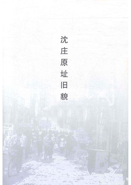 沈庄村志家谱.pdf电子版_河南省志插图1