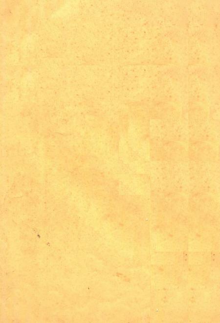 沿江乡志.pdf电子版_四川省志插图1