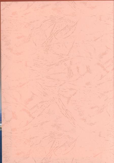 港口区大事记（1993.5-2003.5）.pdf电子版_广西壮族自治区志插图1