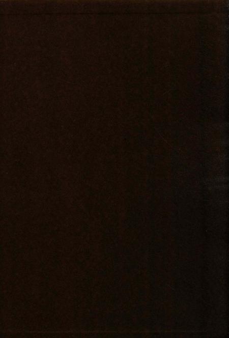 湖南乡镇简志郴州市卷 上.pdf电子版_湖南省志插图1