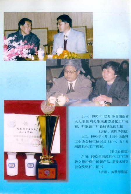 湘潭县文史 第9辑.pdf电子版_湖南省志插图1