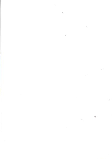 濮阳华龙区年鉴2008.pdf电子版_河南省志插图1