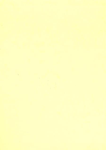 灵宝黄河志1949-2006.pdf电子版_河南省志插图1